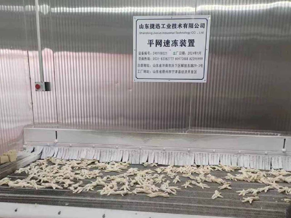 Tunnel Freezer